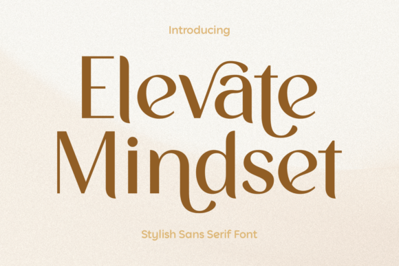 Elevate Mindset: A Chic Sans Serif Font for Beauty Brand Campaigns